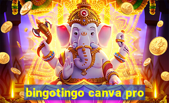 bingotingo canva pro